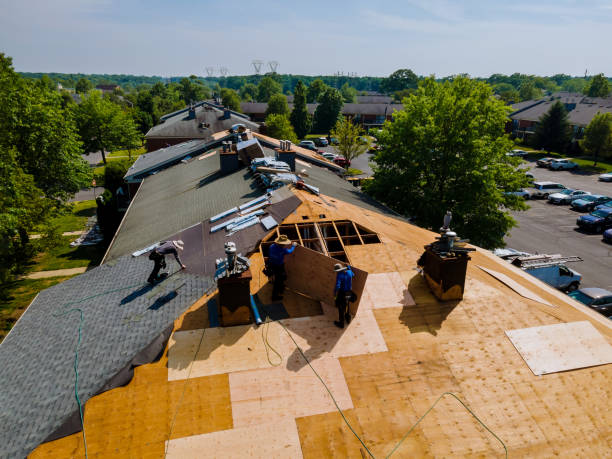 Best Commercial Roofing Services  in River Rouge, MI