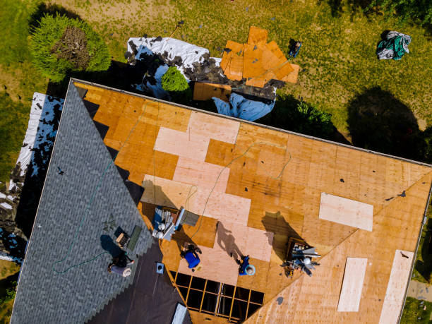 Best Roof Leak Repair  in River Rouge, MI